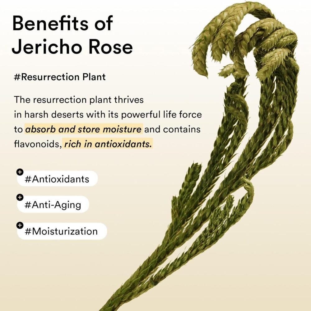 Abib Collagen Eye Patch Jericho Rose Jelly (60 patches / 30 pairs)