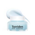 Torriden DIVE IN Low Molecular Hyaluronic Acid Soothing Cream (100ml)